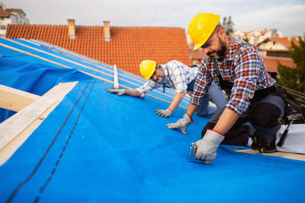 Best Commercial Roofing Services  in Marshalltown, IA