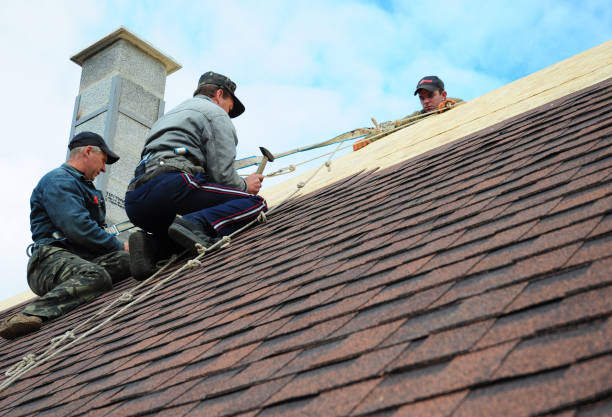 Best Roof Leak Repair  in Marshalltown, IA